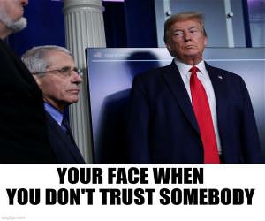 Do Not Trust The Snake