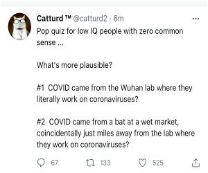 Pop Quiz