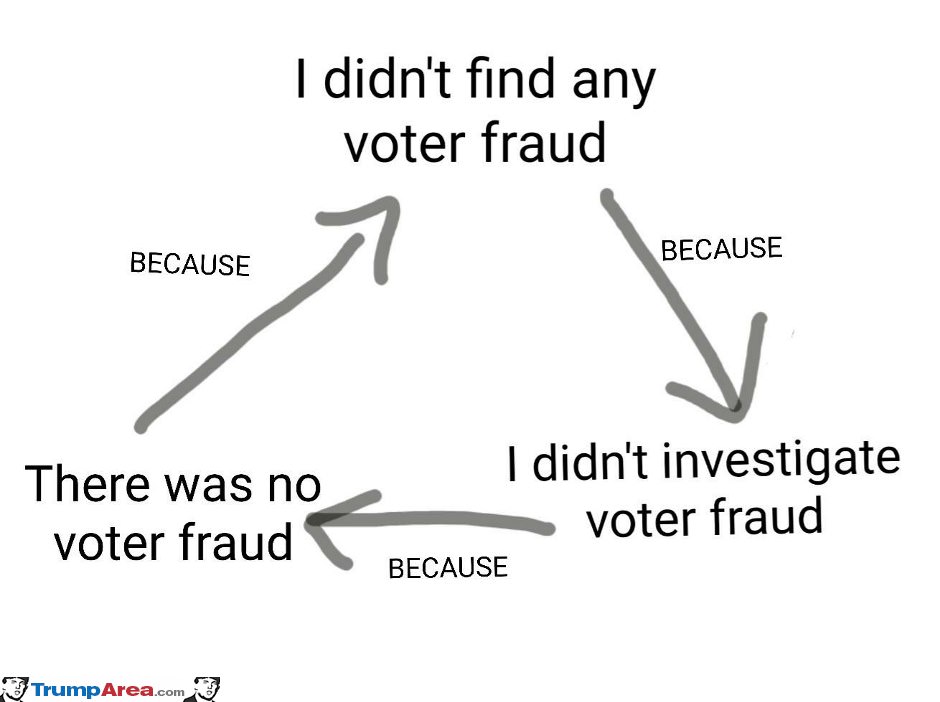 Voter Fraud