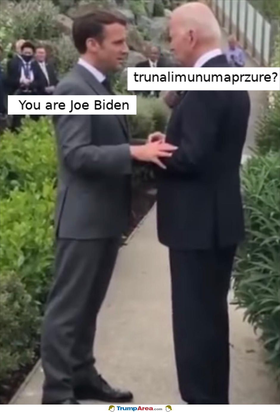 You Are Joe Biden