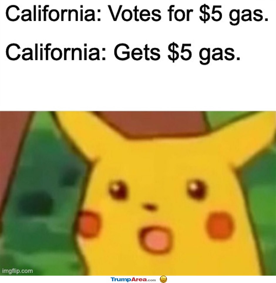 California Is Stupid