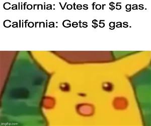 California Is Stupid