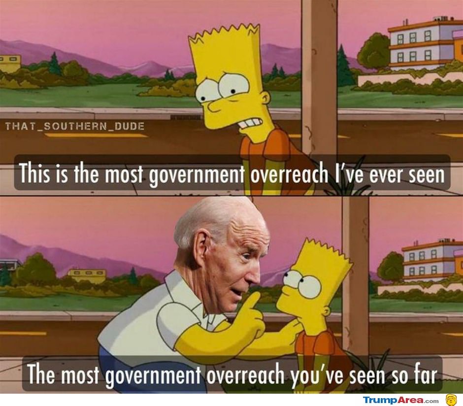 Government Overreach