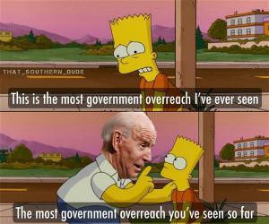 Government Overreach