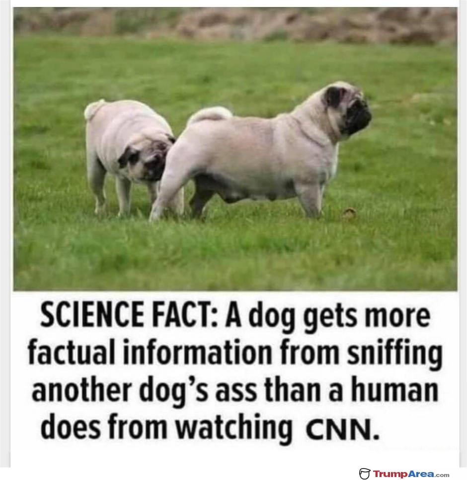 Science Fact
