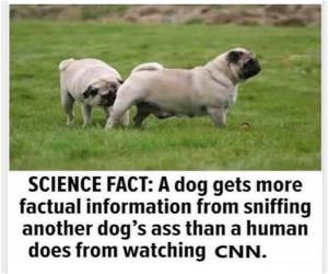 Science
