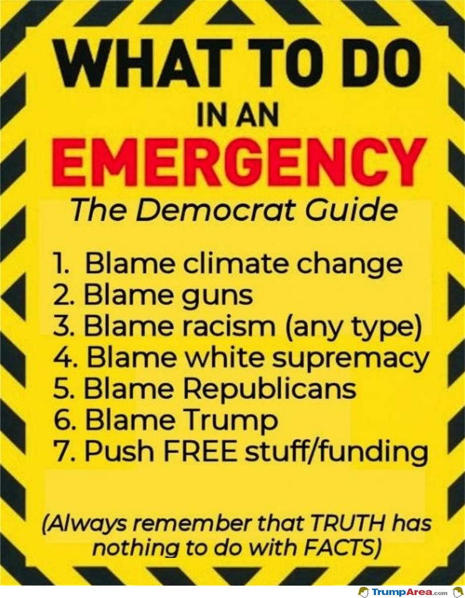 The Democrats Guide