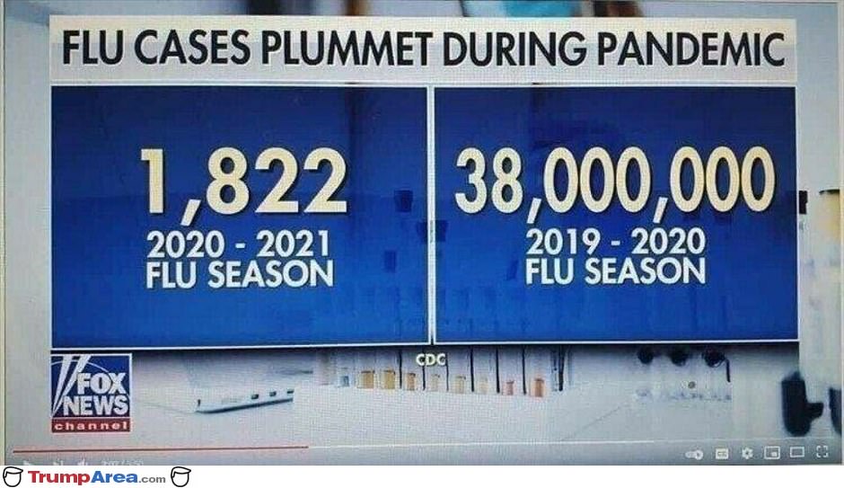 the-flu.jpg