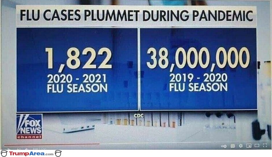 The Flu