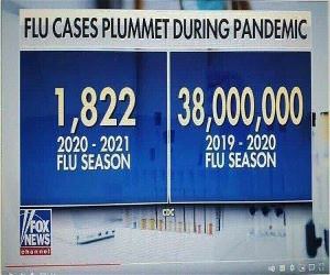 The Flu