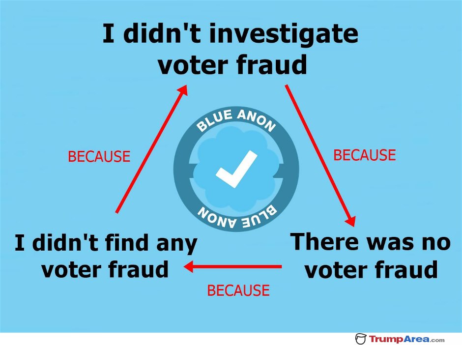 The Voter Fraud