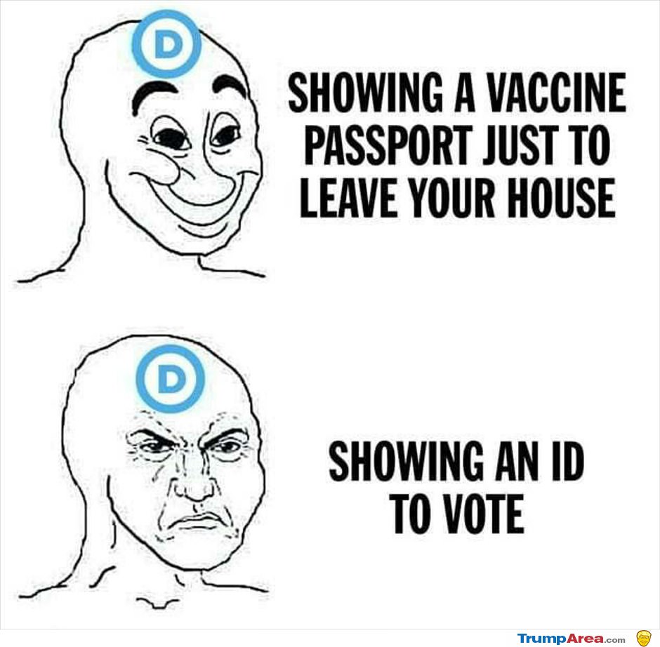 Democrats Logic