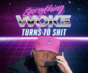Everything Woke