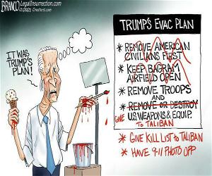 It Was Trumps Plan