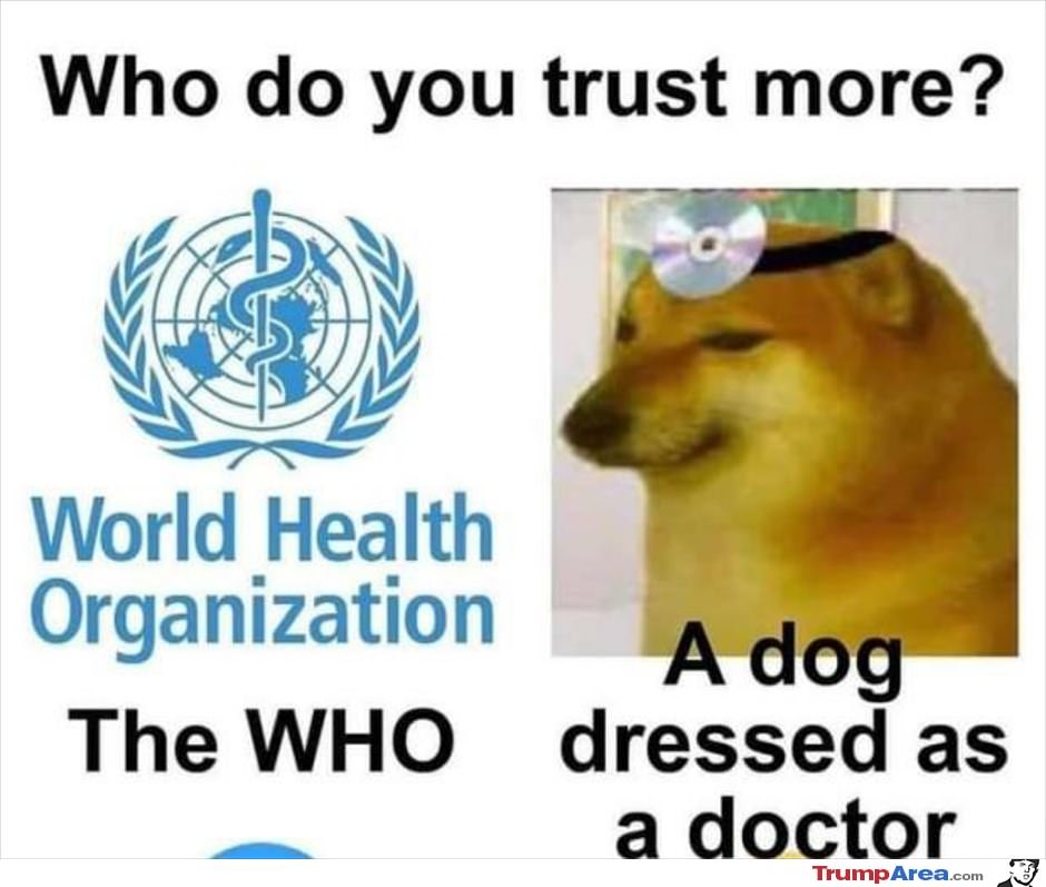 Who Do You Trust More