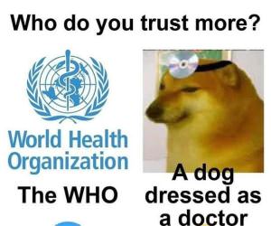 Who Do You Trust More