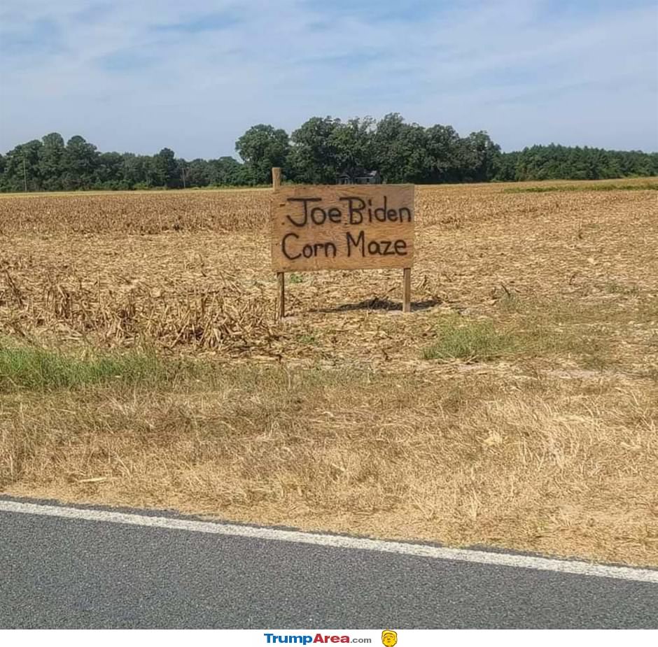 Joe Biden Corn Maze