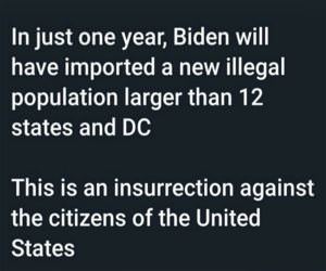 The Actual Insurrection