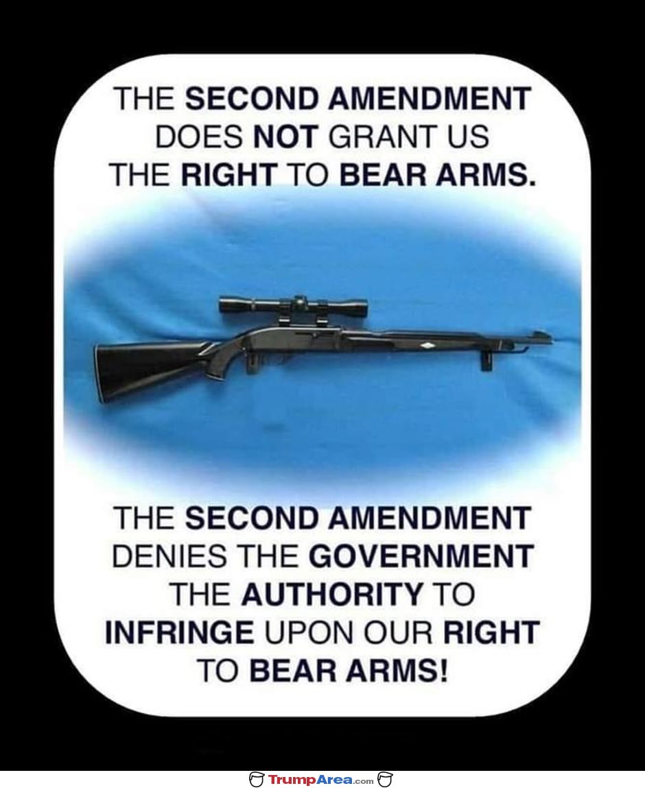 The Second Amendment