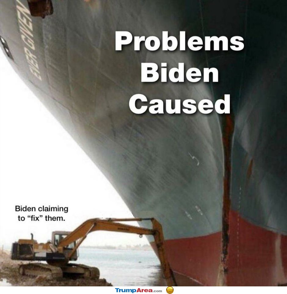 Bidens Problems