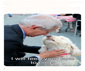 Feed Your Face