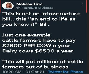 Not An Infastructure Bill