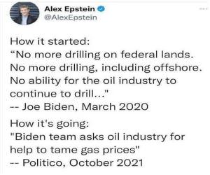 What An Idiot