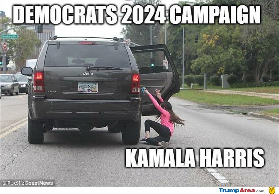 Democrats 2024 