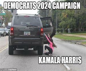 Democrats 2024