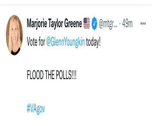 Flood The Polls