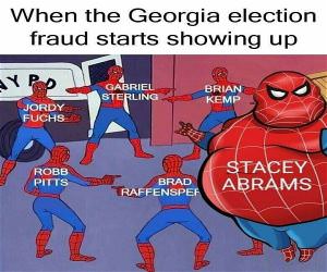 The Election Fraud