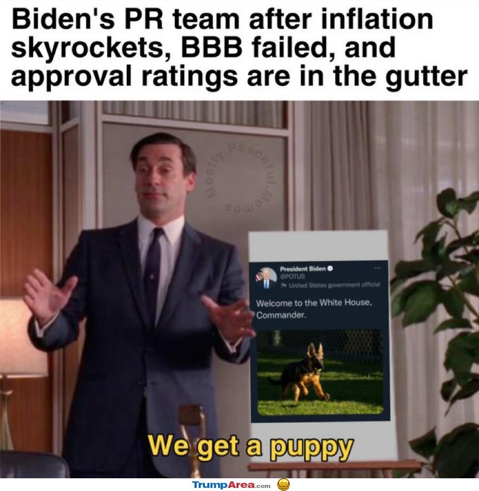 Biden Regime