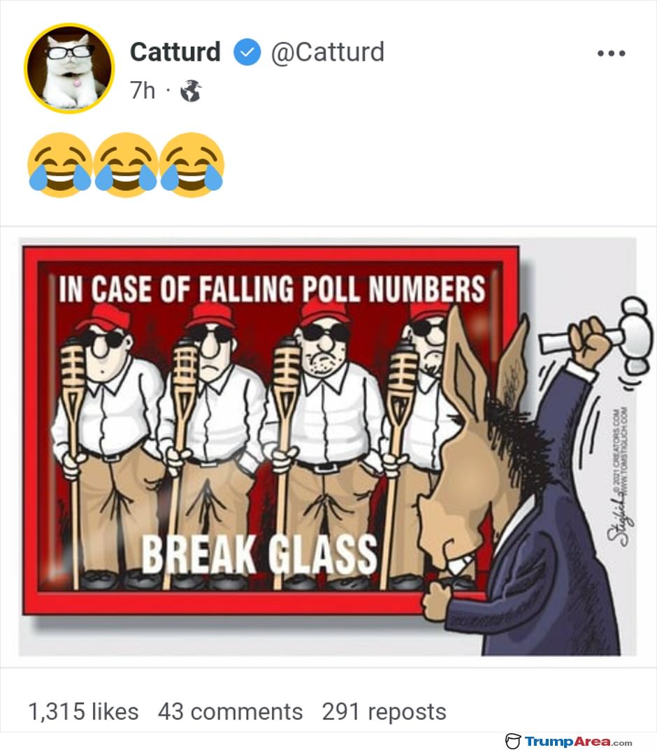 In Case Of Falling Poll Numbers
