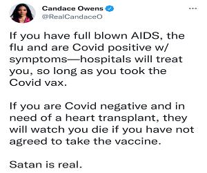 Clown World Is Real