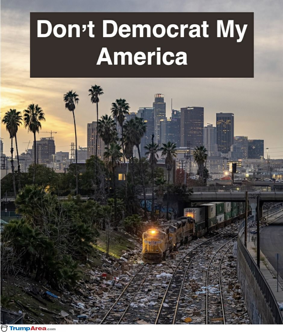 Dont Democrat My America