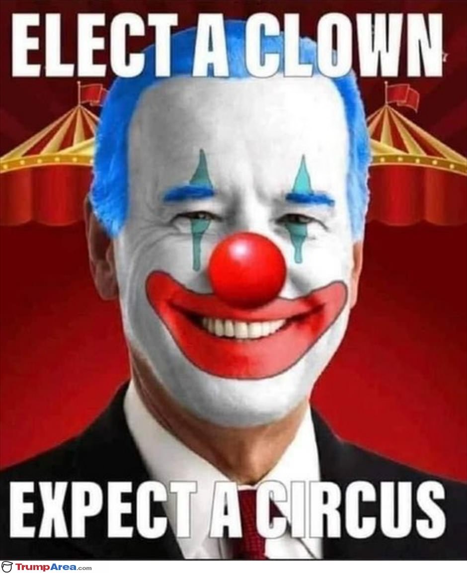 The Circus