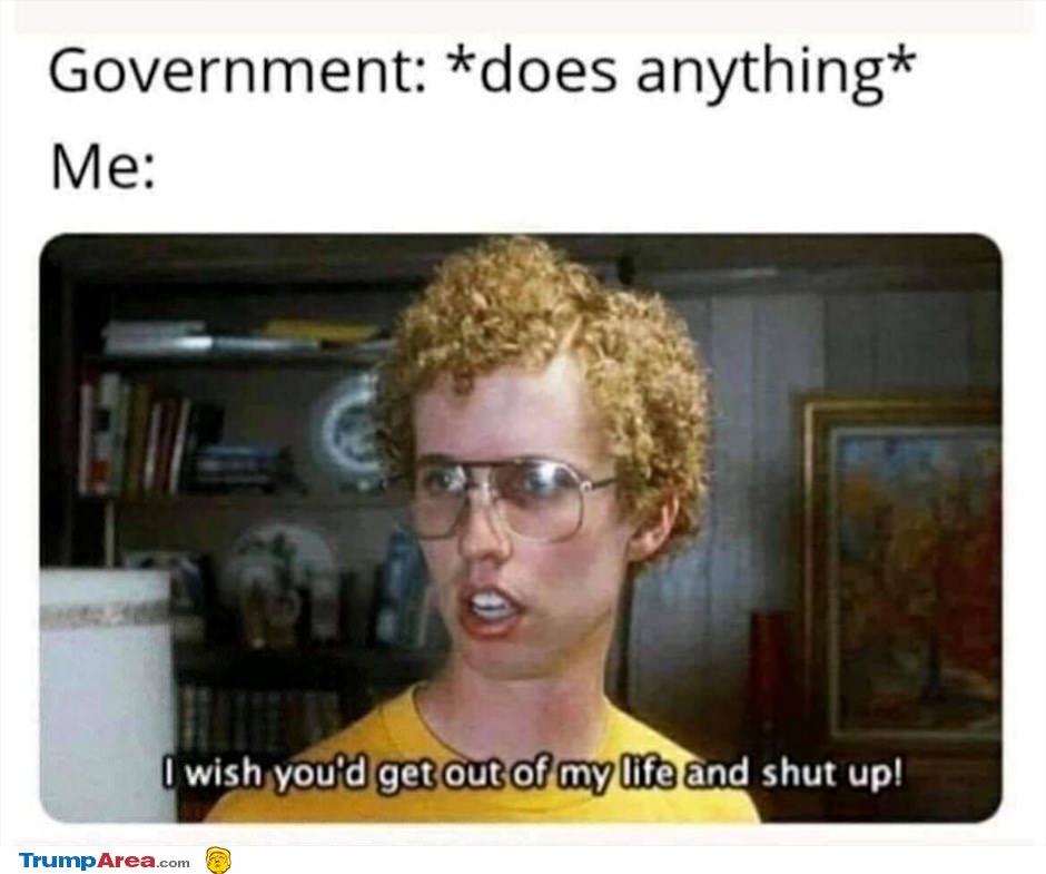 The Government Does Anything