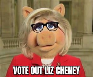 Vote This Pig Out