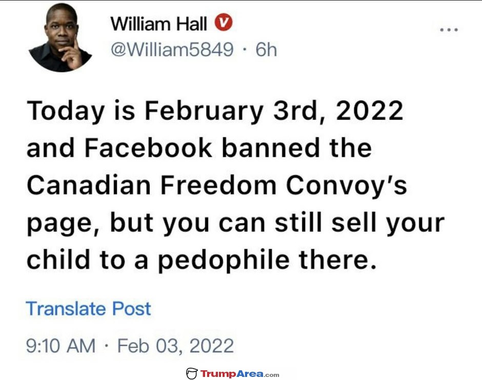 Crazy World