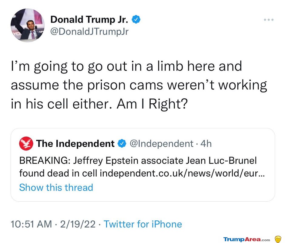 Going Out On A Limb