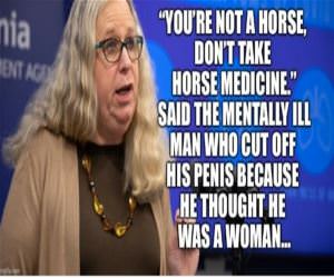 Horse Medicine