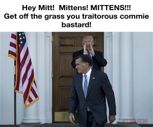Hte Mitt