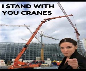 I Stand With Cranes