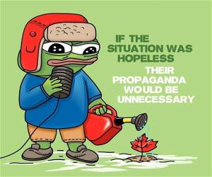 Not Hopeless