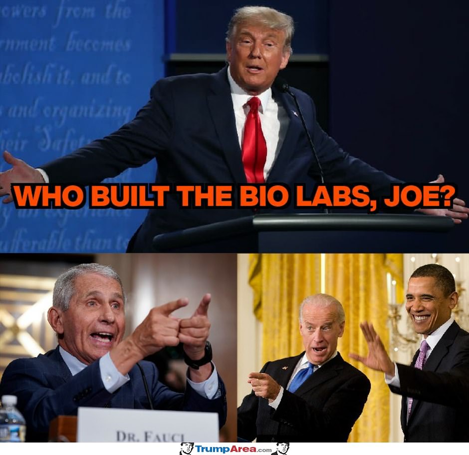 Who Built The Labs