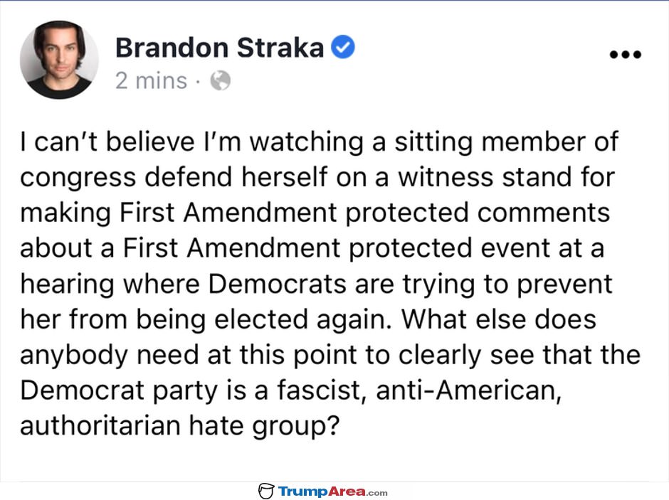 Democrats Are Insane