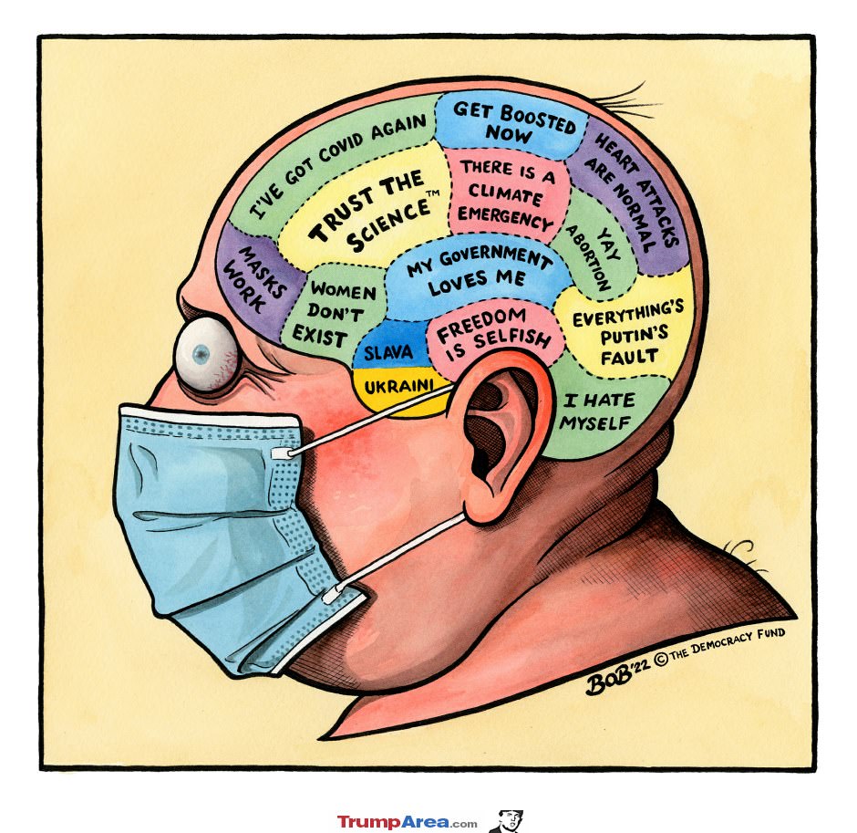 The Liberal Brain