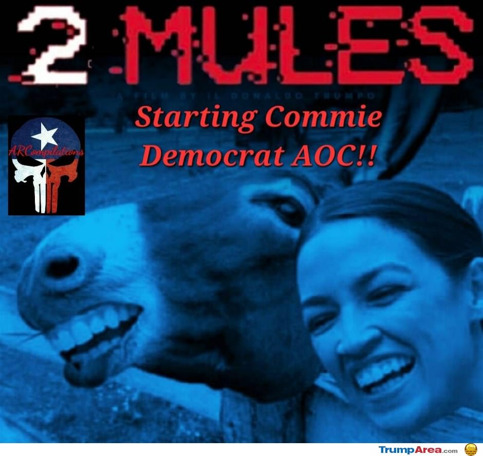 2 Mules