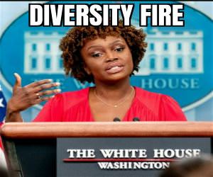 Diversity Hire