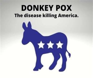 Donkey Pox.Jpg